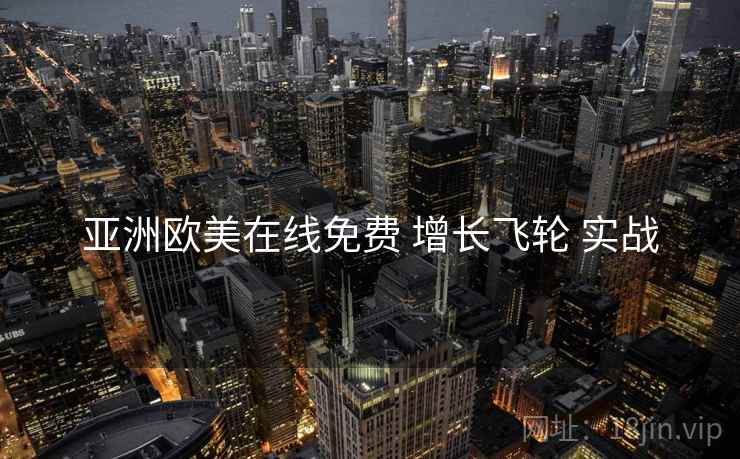 亚洲欧美在线免费 增长飞轮 实战  第2张
