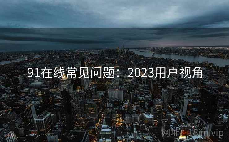 91在线常见问题：2023用户视角  第2张