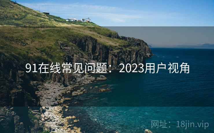 91在线常见问题：2023用户视角  第1张