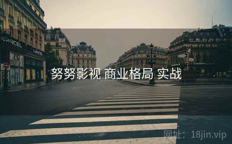 努努影视 商业格局 实战  第2张