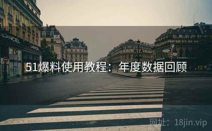51爆料使用教程：年度数据回顾  第1张