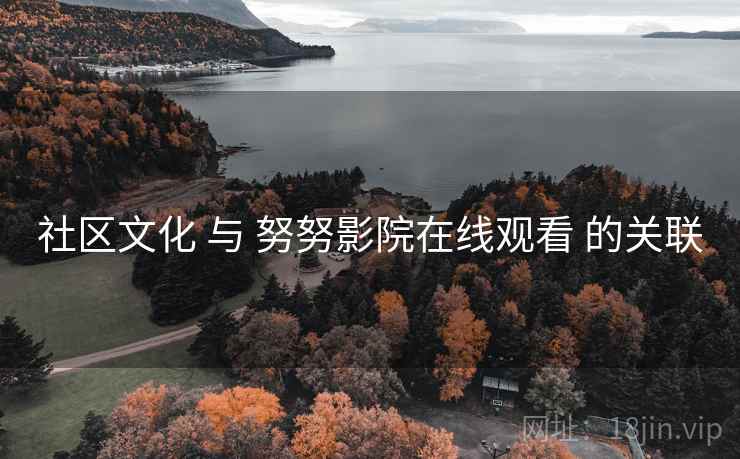 社区文化 与 努努影院在线观看 的关联  第1张