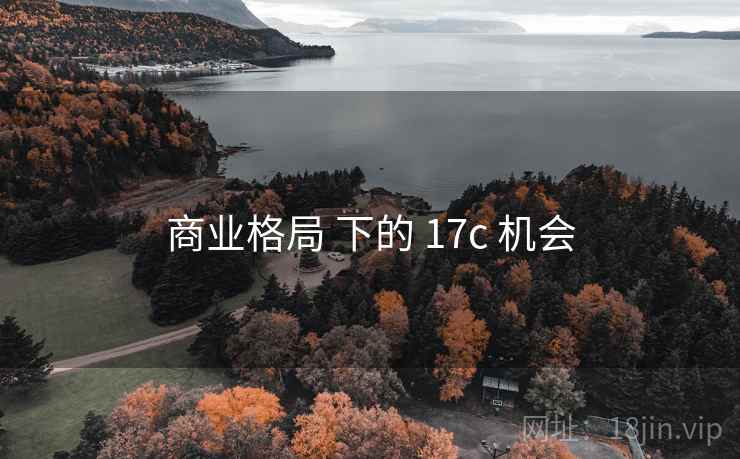 商业格局 下的 17c 机会  第1张