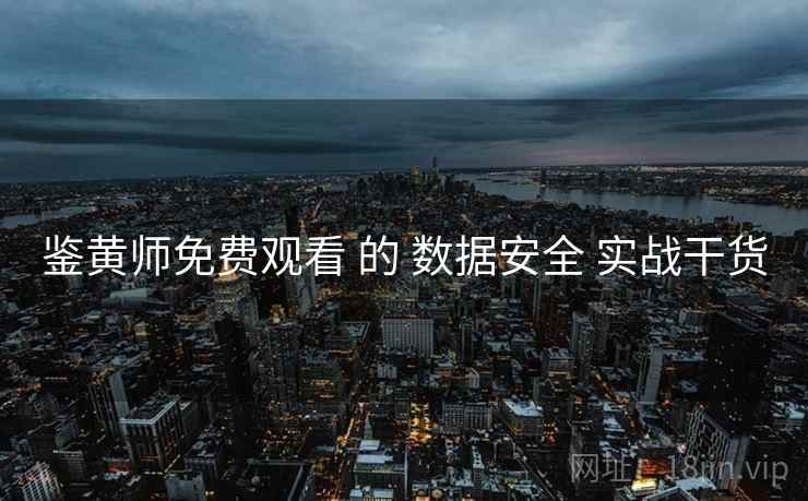 鉴黄师免费观看 的 数据安全 实战干货  第1张