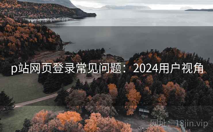 p站网页登录常见问题：2024用户视角  第2张