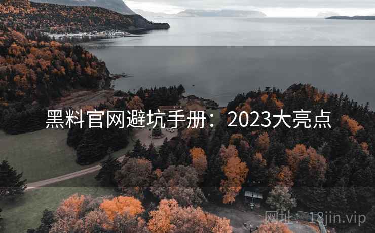 黑料官网避坑手册:2023大亮点 第2张 黑料官网避坑手册:2023大亮点 第2张