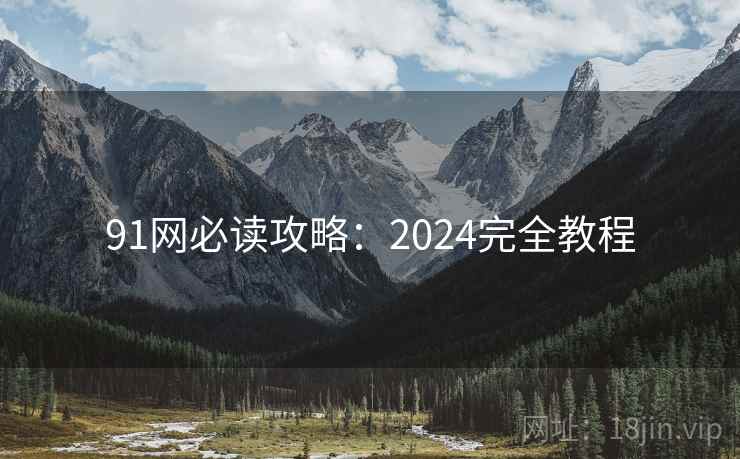 91网必读攻略：2024完全教程  第1张