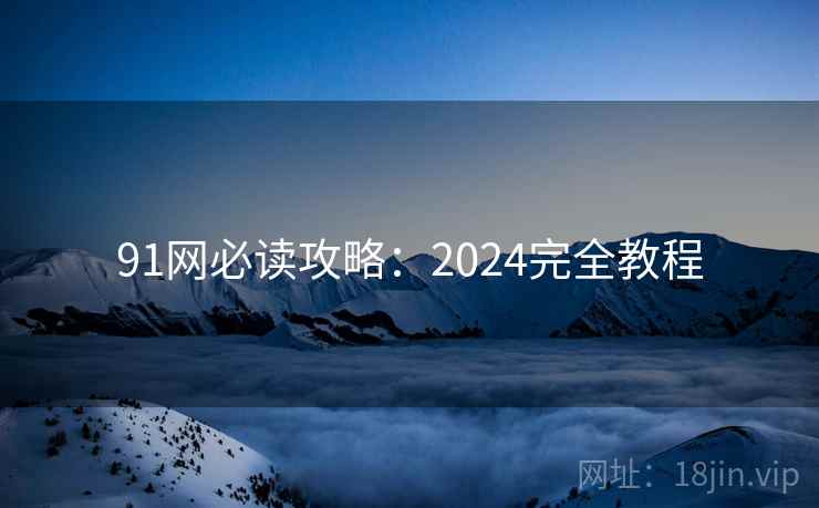 91网必读攻略：2024完全教程  第2张