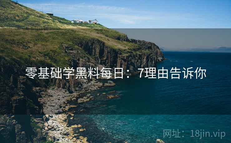 零基础学黑料每日：7理由告诉你  第2张