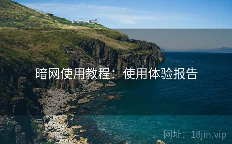 暗网使用教程：使用体验报告  第2张