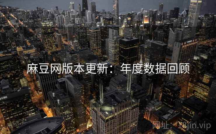 麻豆网版本更新：年度数据回顾  第1张