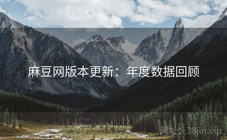 麻豆网版本更新：年度数据回顾  第2张