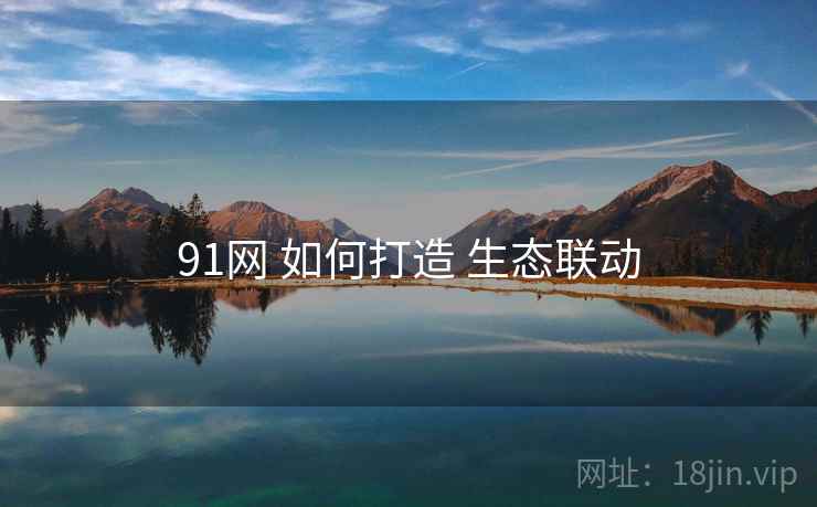 91网 如何打造 生态联动  第1张