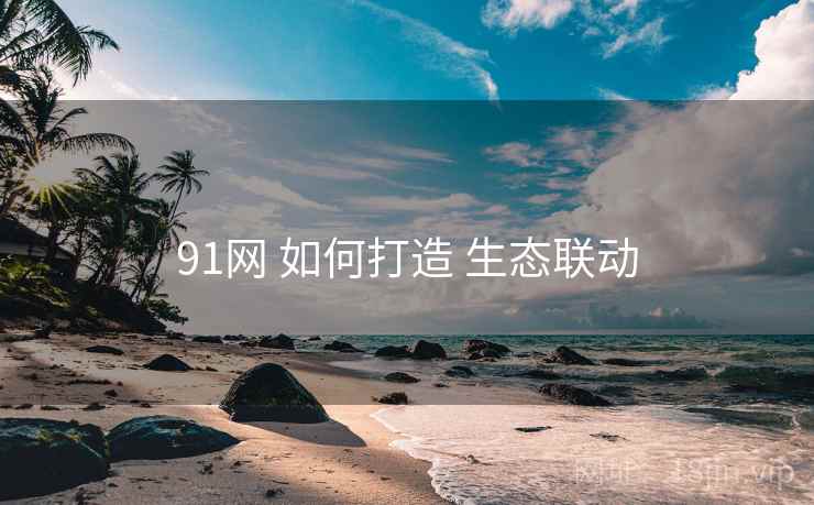 91网 如何打造 生态联动  第2张