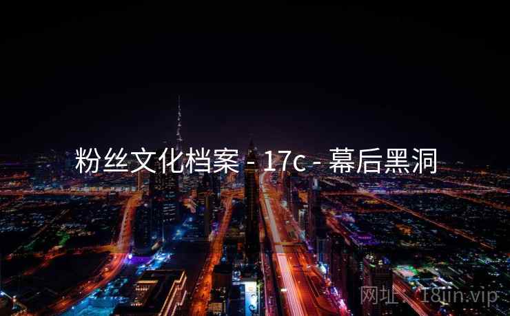 粉丝文化档案 - 17c 幕后黑洞  第2张