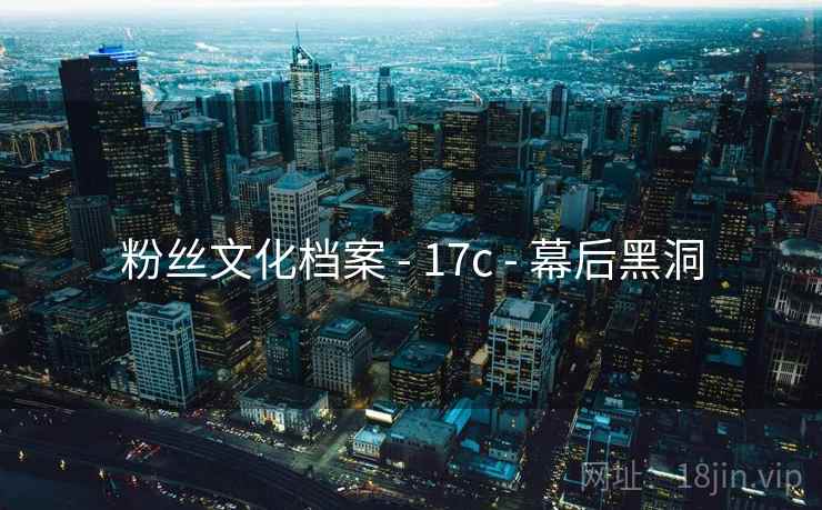 粉丝文化档案 - 17c 幕后黑洞  第1张