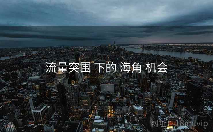 流量突围 下的 海角 机会  第1张