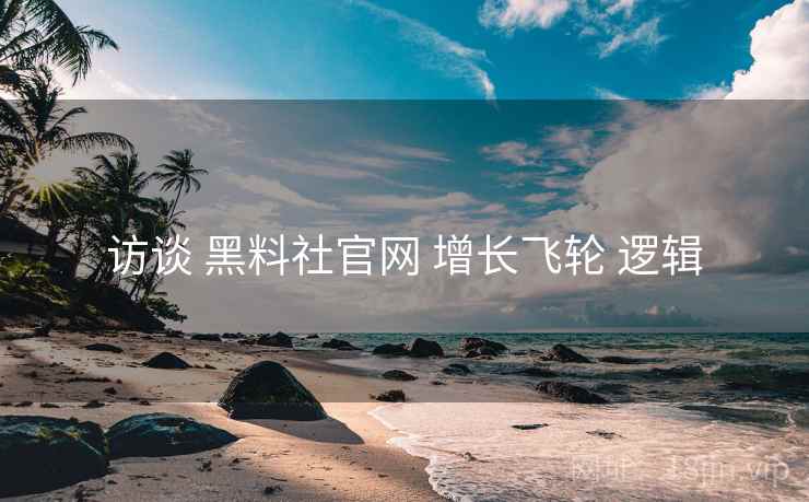 访谈 黑料社官网 增长飞轮 逻辑  第1张