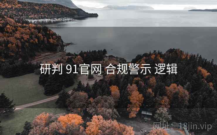 研判 91官网 合规警示 逻辑  第1张