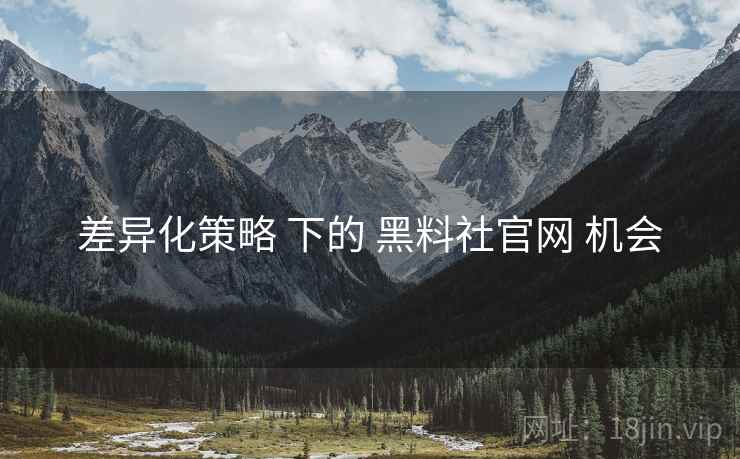 差异化策略 下的 黑料社官网 机会  第1张