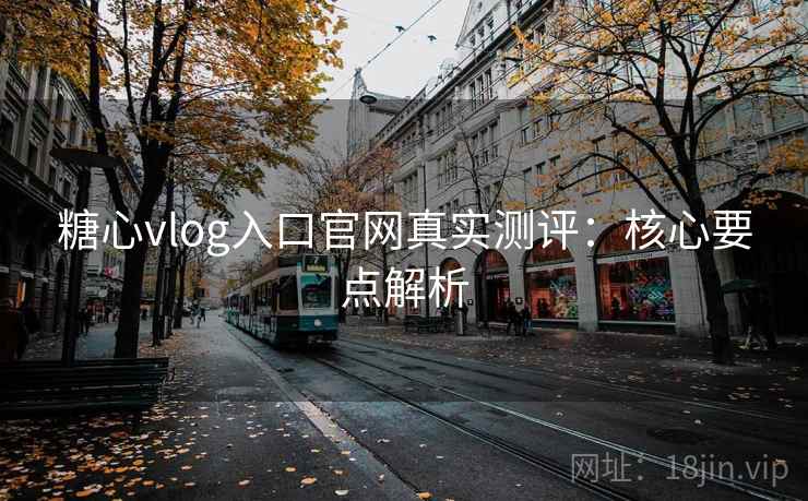 糖心vlog入口官网真实测评：核心要点解析  第2张