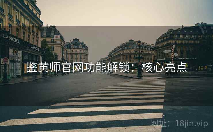 鉴黄师官网功能解锁：核心亮点  第2张