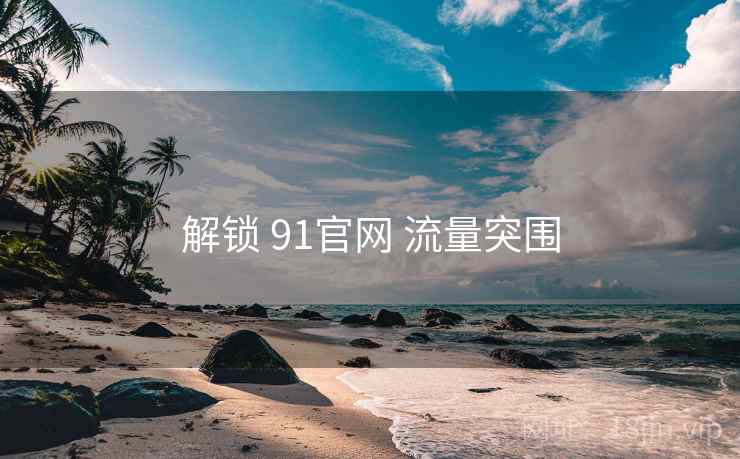 解锁 91官网 流量突围  第1张